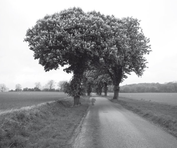 Иллюстрация к книге — Дом на хвосте паровоза. Путеводитель по Европе в сказках Андерсена [i_173.jpg]