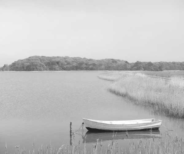 Иллюстрация к книге — Дом на хвосте паровоза. Путеводитель по Европе в сказках Андерсена [i_174.jpg]