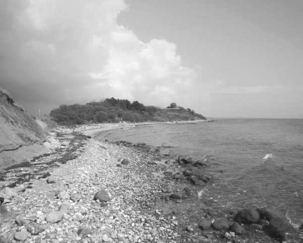 Иллюстрация к книге — Дом на хвосте паровоза. Путеводитель по Европе в сказках Андерсена [i_175.jpg]