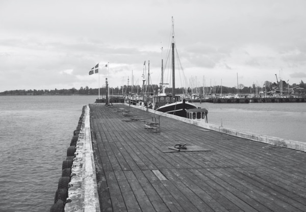 Иллюстрация к книге — Дом на хвосте паровоза. Путеводитель по Европе в сказках Андерсена [i_182.jpg]