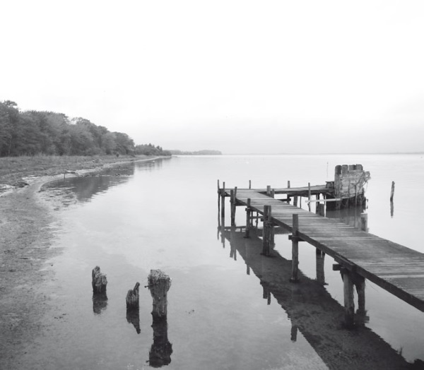 Иллюстрация к книге — Дом на хвосте паровоза. Путеводитель по Европе в сказках Андерсена [i_183.jpg]