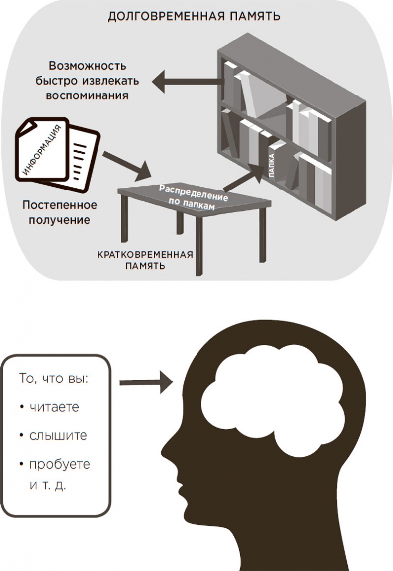 Иллюстрация к книге — Это просто ступор какой-то! Как избавиться от тумана в голове, обрести ясность мыслей и начать действовать [i_006.jpg]