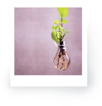 Иллюстрация к книге — Что такое лагом (Шведские рецепты счастливой жизни) [i_012.jpg]