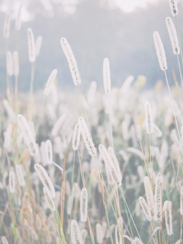 Иллюстрация к книге — Что такое лагом (Шведские рецепты счастливой жизни) [i_122.jpg]