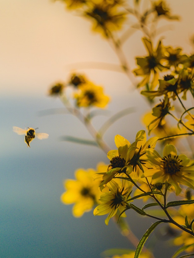 Иллюстрация к книге — Что такое лагом (Шведские рецепты счастливой жизни) [i_124.jpg]