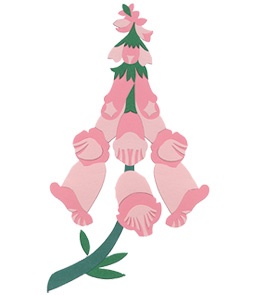 Иллюстрация к книге — Что такое лагом (Шведские рецепты счастливой жизни) [i_129.jpg]