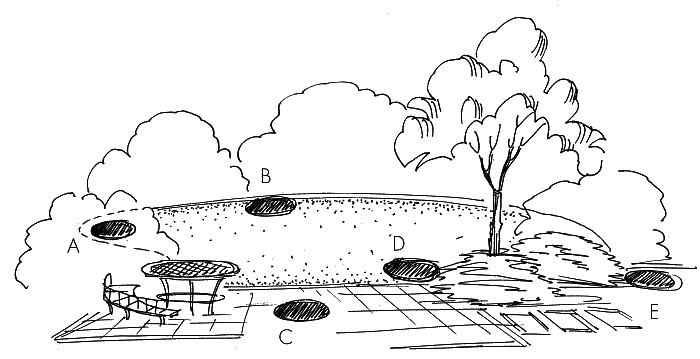 Иллюстрация к книге — 10 этапов проектирования малого сада [autogen_ebook_id13.jpg]