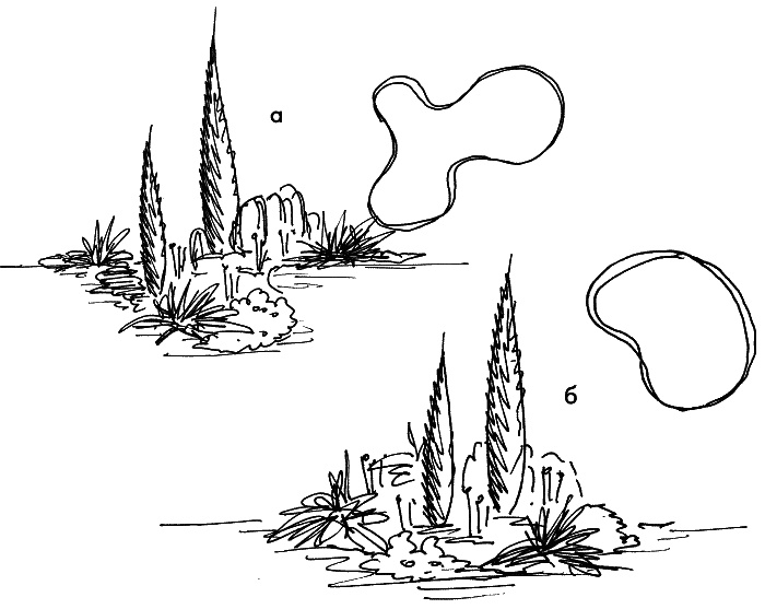 Иллюстрация к книге — 10 этапов проектирования малого сада [autogen_ebook_id33.jpg]