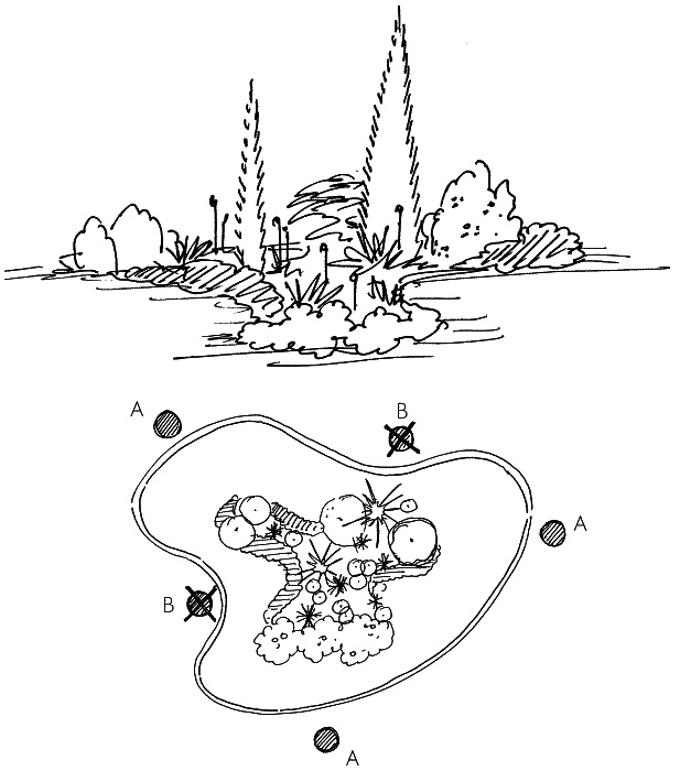 Иллюстрация к книге — 10 этапов проектирования малого сада [autogen_ebook_id34.jpg]