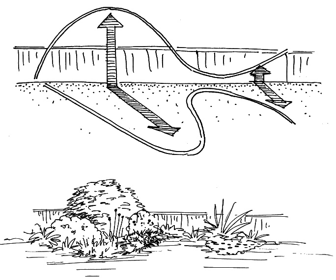 Иллюстрация к книге — 10 этапов проектирования малого сада [autogen_ebook_id43.jpg]