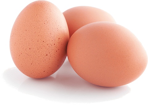 Иллюстрация к книге — Не надо думать, надо кушать! [i_008.jpg]