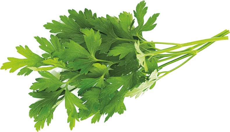 Иллюстрация к книге — Не надо думать, надо кушать! [i_035.jpg]