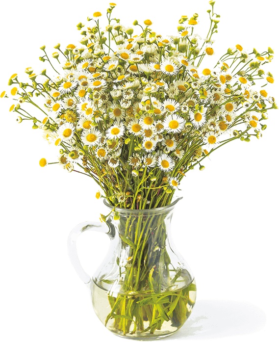 Иллюстрация к книге — Не надо думать, надо кушать! [i_040.jpg]