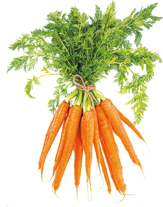 Иллюстрация к книге — Не надо думать, надо кушать! [i_049.jpg]