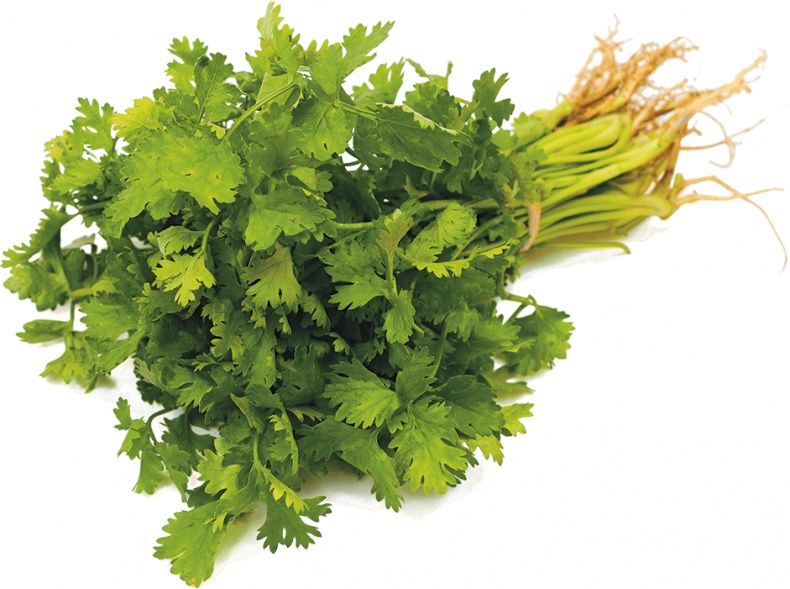 Иллюстрация к книге — Не надо думать, надо кушать! [i_059.jpg]