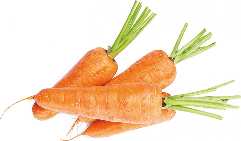 Иллюстрация к книге — Не надо думать, надо кушать! [i_090.jpg]