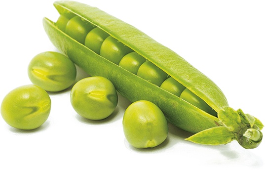 Иллюстрация к книге — Не надо думать, надо кушать! [i_091.jpg]