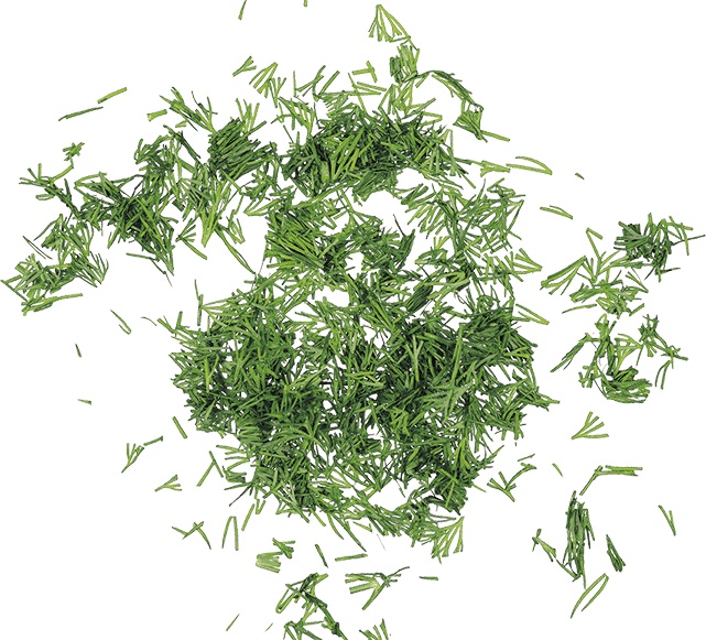 Иллюстрация к книге — Не надо думать, надо кушать! [i_109.jpg]