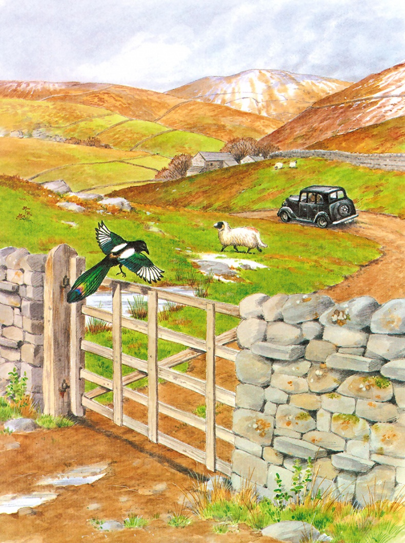 Иллюстрация к книге — Детям. Рассказы о животных [i_002.jpg]