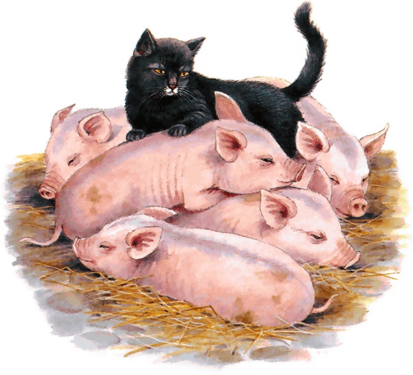 Иллюстрация к книге — Детям. Рассказы о животных [i_013.jpg]