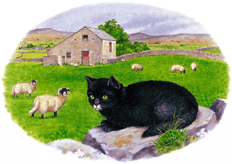 Иллюстрация к книге — Детям. Рассказы о животных [i_016.jpg]