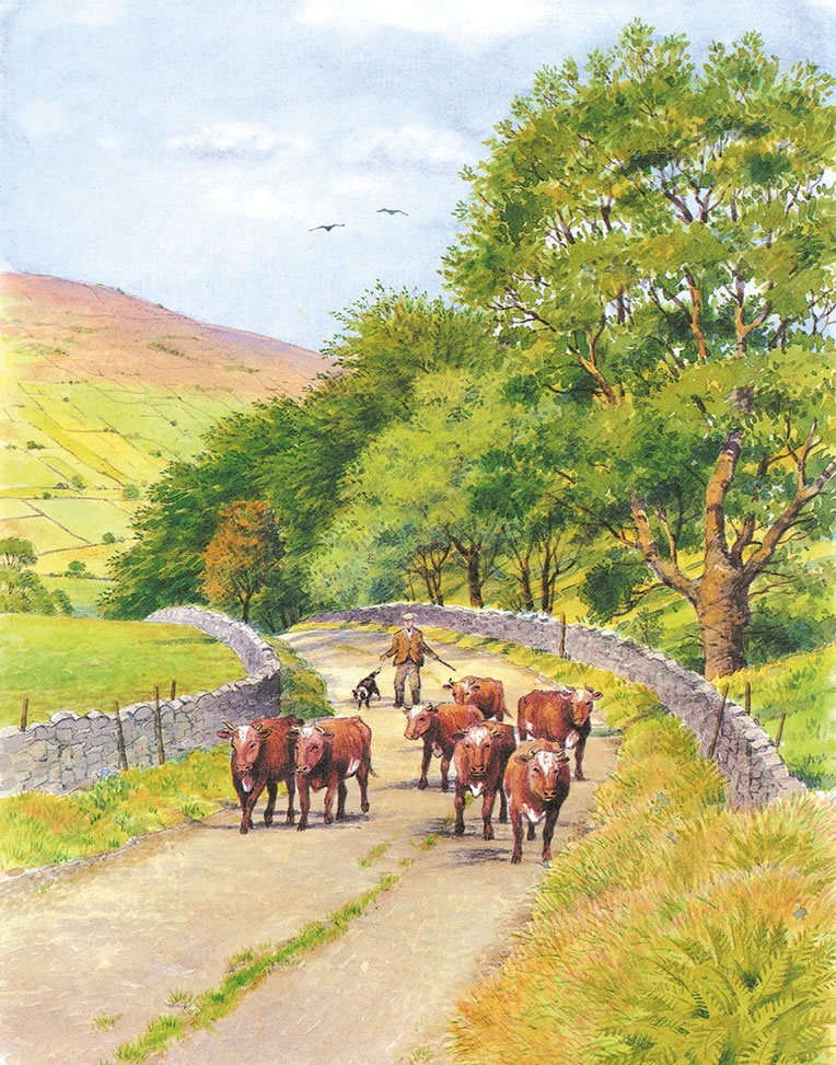 Иллюстрация к книге — Детям. Рассказы о животных [i_018.jpg]