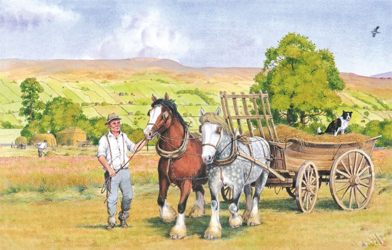 Иллюстрация к книге — Детям. Рассказы о животных [i_025.jpg]