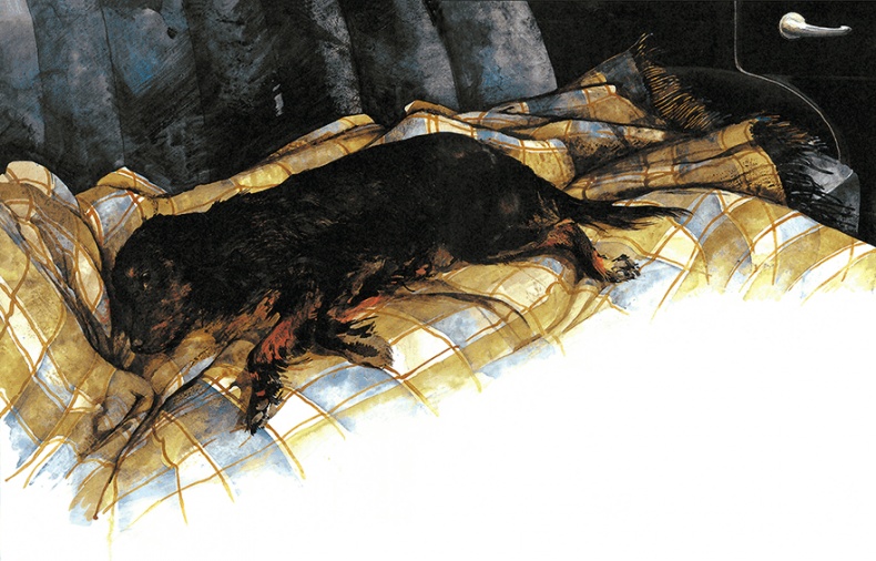 Иллюстрация к книге — Детям. Рассказы о животных [i_092.jpg]