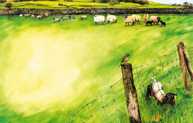 Иллюстрация к книге — Детям. Рассказы о животных [i_119.jpg]