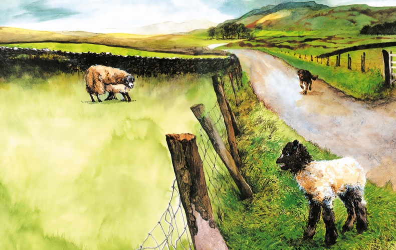 Иллюстрация к книге — Детям. Рассказы о животных [i_121.jpg]