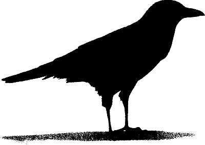 Иллюстрация к книге — Испытания Морриган Кроу [i_002.jpg]