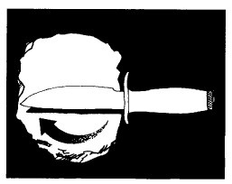 Иллюстрация к книге — Выживание везде и всегда [i_009.jpg]