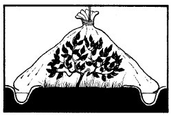 Иллюстрация к книге — Выживание везде и всегда [i_012.jpg]