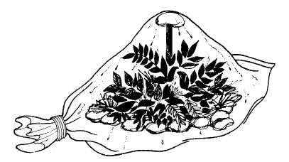 Иллюстрация к книге — Выживание везде и всегда [i_013.jpg]