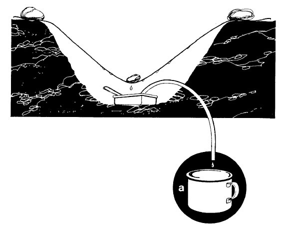 Иллюстрация к книге — Выживание везде и всегда [i_014.jpg]