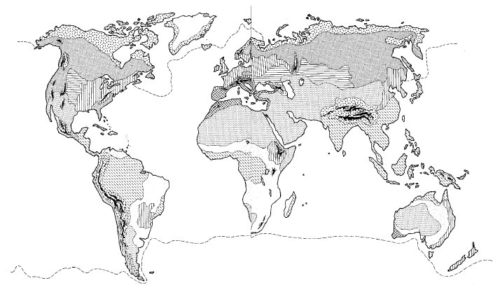 Иллюстрация к книге — Выживание везде и всегда [i_029.jpg]