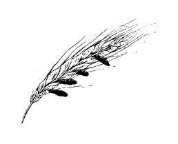 Иллюстрация к книге — Выживание везде и всегда [i_036.jpg]