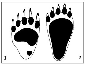 Иллюстрация к книге — Выживание везде и всегда [i_039.jpg]