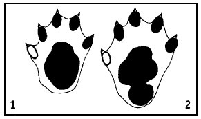 Иллюстрация к книге — Выживание везде и всегда [i_040.jpg]