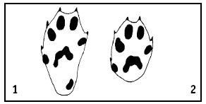 Иллюстрация к книге — Выживание везде и всегда [i_041.jpg]