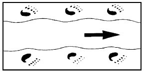 Иллюстрация к книге — Выживание везде и всегда [i_044.jpg]