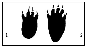 Иллюстрация к книге — Выживание везде и всегда [i_050.jpg]