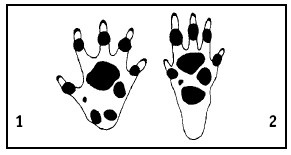 Иллюстрация к книге — Выживание везде и всегда [i_052.jpg]