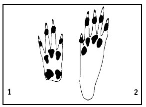 Иллюстрация к книге — Выживание везде и всегда [i_053.jpg]