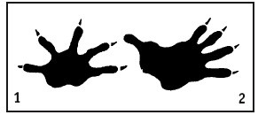 Иллюстрация к книге — Выживание везде и всегда [i_054.jpg]