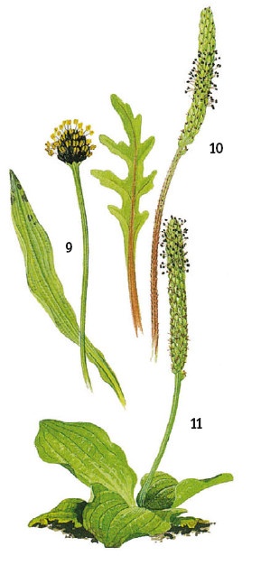 Иллюстрация к книге — Выживание везде и всегда [i_063.jpg]