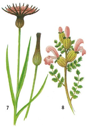 Иллюстрация к книге — Выживание везде и всегда [i_071.jpg]