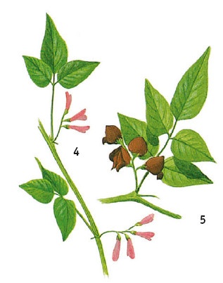 Иллюстрация к книге — Выживание везде и всегда [i_073.jpg]