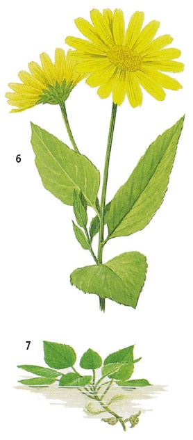 Иллюстрация к книге — Выживание везде и всегда [i_074.jpg]