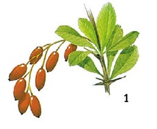 Иллюстрация к книге — Выживание везде и всегда [i_075.jpg]